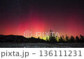 Red-green northern lights over pine trees and winter forest in the mountains 136111231
