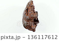Chondrite Meteorite on white background, close up macro video. Meteorite closeup video. Meteor macro surface 136117612