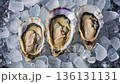Fresh oysters displayed on crushed ice, showcasing their glistening shells and succulent meat, arranged in a visually appealing manner for culinary presentation 136131131