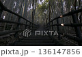 竹に囲まれた遊歩道の階段 136147856