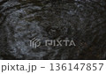 水底から静かに湧き出る水 136147857