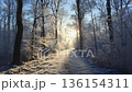A snow-covered forest path glows as sunlight filters through bare trees, casting long shadows on the frosty ground. The cold air and soft light create a peaceful winter atmosphere. 136154311