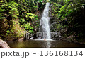 A couple in love swims under a waterfall in the jungle. A waterfall called Durian. Langkawi Island. Malaysia 136168134