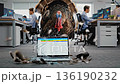 Large bird interferes with office equipment suddenly, Feathered intruder causes panic during company meeting, An unexpected avian incident leads to disruption and confusion among office employees 136190232