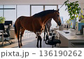 Animals in busy office, Horses stroll through lively workspace, Equines walk amidst bustling bright office environment, Two horses meander through active desks in cheerful sunlight filled office 136190262