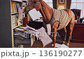 Funny horse chaos, Horse dressed in winter attire creates humorous disruption in crowded office setting, Amusing equine antics in congested office lead to chaotic and comical situations overflow 136190277