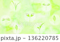A looped animation of various kinds of sprouts happily rotating. A refreshing video with a green watercolor background. 136220785