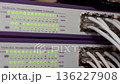 Video Server room rack with network cables. Network cables connect to server rack ports with blurry bokeh lights in the background. A close-up of a network rack with multiple Ethernet cables connected 136227908