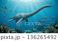 3D CG illustration of Thalassomedon, a long-necked sea monster. A Cretaceous plesiosaur. Realistic reconstruction of a dinosaur. 136265492