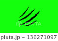 Claw scratch marks, cat tiger scratches paw, monster vector scratched 136271097