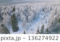 A Serene Aerial View of a Snow-Covered Winter Landscape with Majestic Evergreen Trees and a Peaceful White Forest Setting 136274922