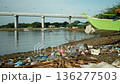 Shoreline trash full plastic waste Filipino dog aspin asong pinoy hungry suffering skin disease furless with red swollen skin and bloody sores finding food rubbish and overwhelming abundance garbage 136277503