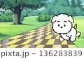 光る犬の散歩 136283839