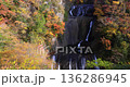 Fukuroda Falls and autumn leaves, Ibaraki Prefecture 136286945