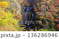 Fukuroda Falls and autumn leaves, Ibaraki Prefecture 136286946