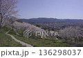 Cherry blossoms at Tokozan Park and the townscape of Izumi City 136298037