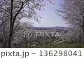Cherry blossoms at Tokozan Park and the townscape of Izumi City 136298041