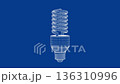 3D wire-frame model of energy saving fluorescent light bulb 136310996