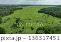Drone view of countryside. Fields and forests in summer.  136317451