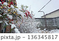 A snowy morning in the countryside 136345817