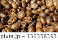 coffee beans with selective focus 136358393