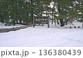 Fukui Tsuruga Kehi Pine Grove Snowy Beach 136380439
