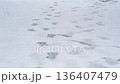 白雪皚皚的小路和腳步聲 136407479