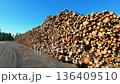 Massive stack of harvested pine logs at an industrial lumber yard 136409510