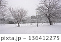 雪の降った日の都内の公園 136412275