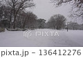 雪の降った日の都内の公園 136412276