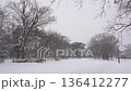 雪の降った日の都内の公園 136412277