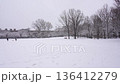 雪の降った日の都内の公園 136412279