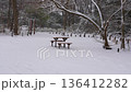 雪の降った日の都内の公園 136412282