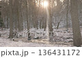 Winter sunlight glistens through trees by a snow-covered stream in a serene forest 136431172
