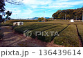 Shimada City, Shizuoka Prefecture, Tokaido Suwahara Castle Ruins in Winter 136439614