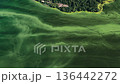 aerial view of vibrant green islands surrounded by waterways. river is polluted with green bacteria due to reproduction during summer water bloom. consequences of warming and technological pollution 136442272
