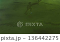 aerial view boat floating throught vibrant green algae on river surface. river polluted green bacteria due to reproduction during summer water bloom. consequences of warming, technological pollution 136442275