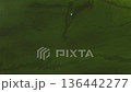 aerial view boat floating throught vibrant green algae on river surface. river polluted green bacteria due to reproduction during summer water bloom. consequences of warming, technological pollution 136442277