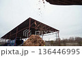 Twigs and wood that arrived at the composting station are crushed on a crusher into a small fraction. Shredding wood on a crusher at a composting station where organic waste is processed 136446995