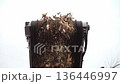 Twigs and wood that arrived at the composting station are crushed on a crusher into a small fraction. Shredding wood on a crusher at a composting station where organic waste is processed 136446997