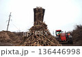 Twigs and wood that arrived at the composting station are crushed on a crusher into a small fraction. Shredding wood on a crusher at a composting station where organic waste is processed 136446998