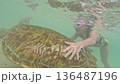 A little girl rides a sea turtle 136487196