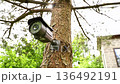 Installing a security camera on a tree in a backyard 136492191