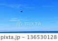 Paraglide flying in the blue sky. High quality FullHD footage 136530128