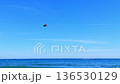 Paraglide flying in the blue sky. High quality FullHD footage 136530129
