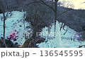 Icicles at Ashigakubo in the evening [left pan] 136545595