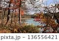 弁天沼擁有碧綠的湖面和色彩繽紛的樹木。 136556421