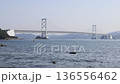 連接淡路島和四國的御鳴渡橋，展現了文化的進步。 136556462