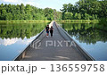 Bokrijk, Belgium - 29 June 2025: Unique cycling path in Bokrijk, Belgium, where the trail cuts through a pond, giving the illusion of riding across water. 136559758