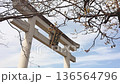 Nagaoka Tenmangu Shrine's large torii gate (Nagaokakyo City, Kyoto Prefecture) 136564796